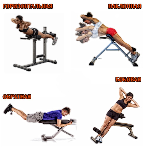 Hyperextension - trainer for the back, abs, strengthening the muscles of the spine, execution technique