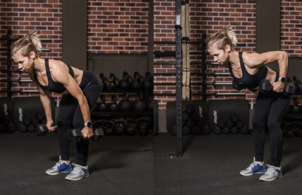 Row of dumbbells in an incline to the belt. What muscles work, exercise technique. Video