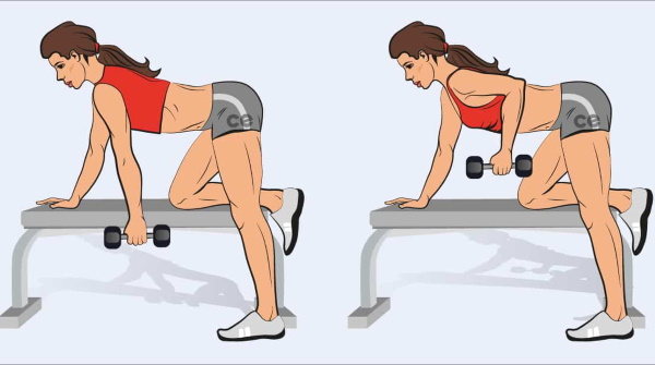 Exercises for pumping the back at home, in the gym