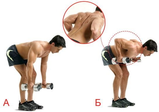 Exercises to straighten the back for girls, men at home