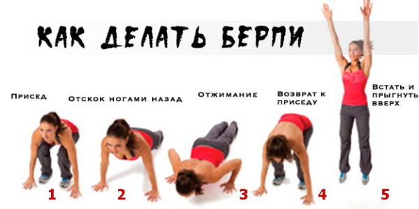 Workouts for girls in the gym to burn fat. Exercises, weekly program