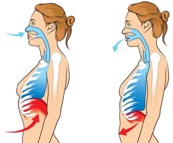 Respiratory gymnastics bodyflex for slimming the abdomen and sides. Video tutorials, techniques