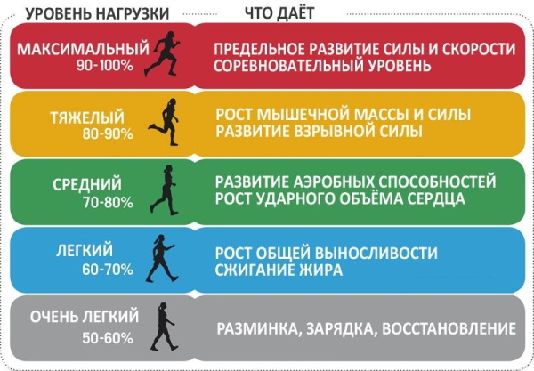 Pulse during exercise. The norm in women, men, children, adolescents, athletes