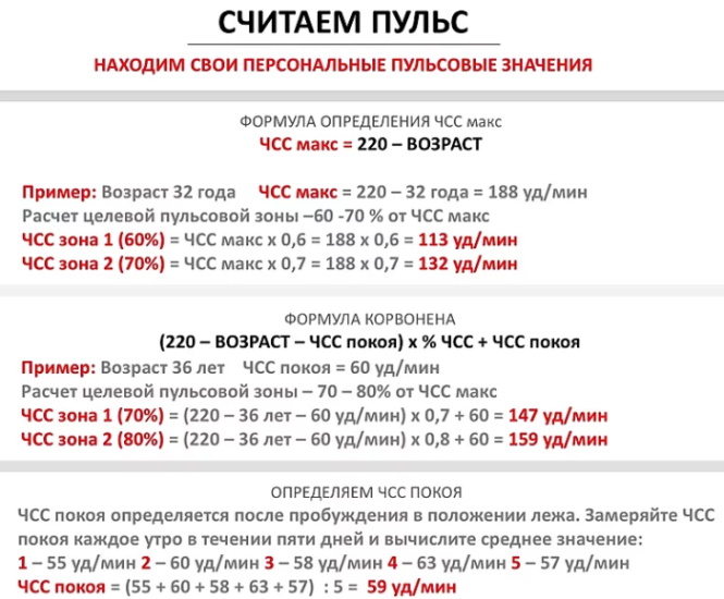 Pulse during exercise. The norm in women, men, children, adolescents, athletes