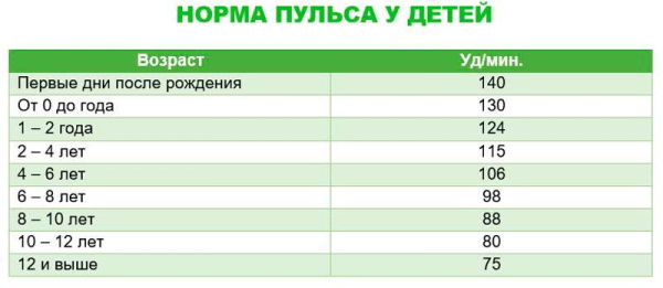 Pulse during exercise. The norm in women, men, children, adolescents, athletes
