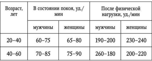 Pulse during exercise. The norm in women, men, children, adolescents, athletes