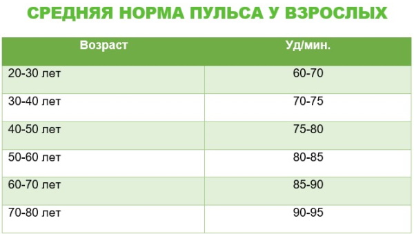 Pulse during exercise. The norm in women, men, children, adolescents, athletes