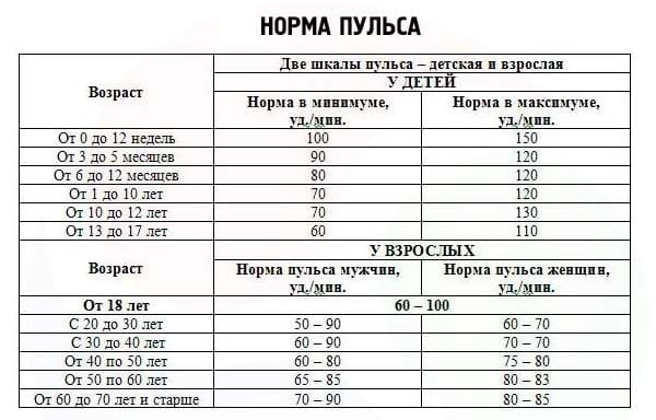 Pulse during exercise. The norm in women, men, children, adolescents, athletes