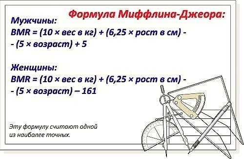 Metabolic age. What is it, how to calculate, reduce