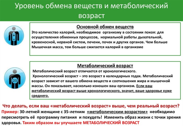 Metabolic age. What is it, how to calculate, reduce