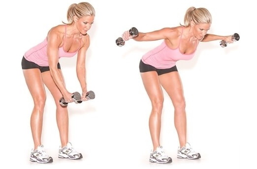 Riding dumbbells in an incline while standing, sitting, lying on a bench, down, forward to the back delta, shoulders, back