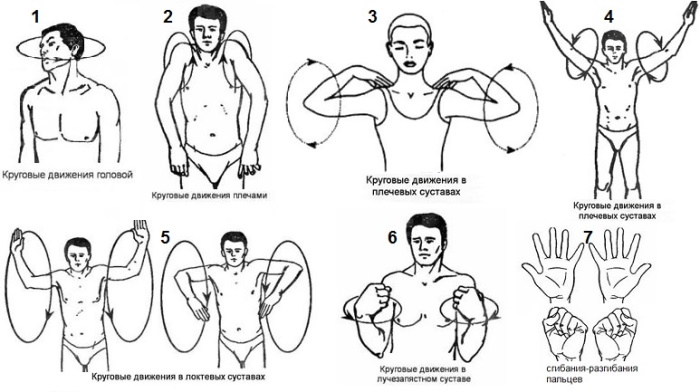 Riding dumbbells in an incline while standing, sitting, lying on a bench, down, forward to the back delta, shoulders, back