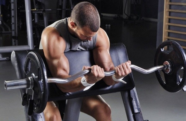 Scott's bench for biceps. Exercises, technique with dumbbells, barbell