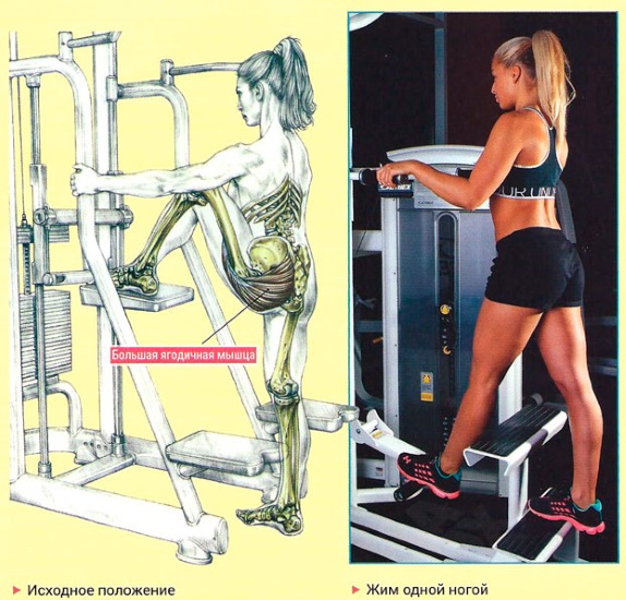 Exercise machines for the buttocks in the gym for girls. Names, how to do, video tutorials