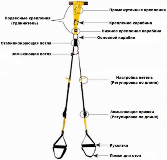 TRX training. What is it, contraindications, description of exercises