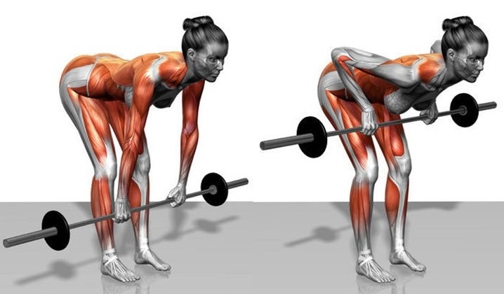 Row of the bar in an incline to the belt. Execution technique for girls with a reverse, wide, narrow grip, which muscles work