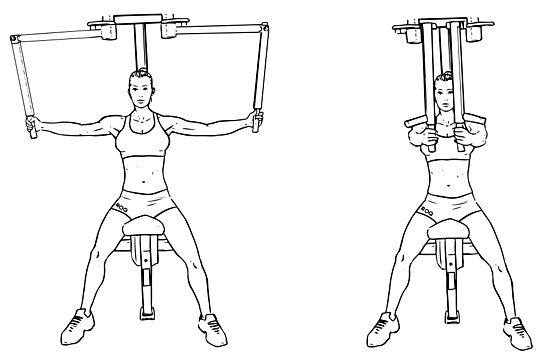 Butterfly exercise for the pectoral muscles. Technique of execution in the simulator, at home