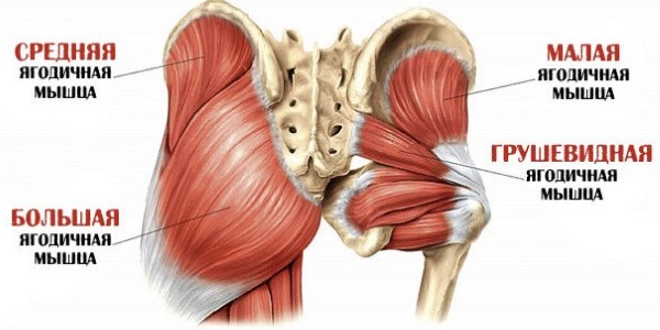 Exercises for the gluteus medius muscle at home, in a gym for women with dumbbells, on a simulator