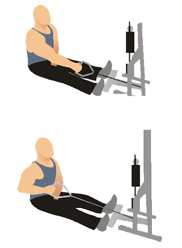 Row of the horizontal block to the belt, chest, stomach, shoulders, back with a narrow, wide grip while sitting, standing. Execution techniques