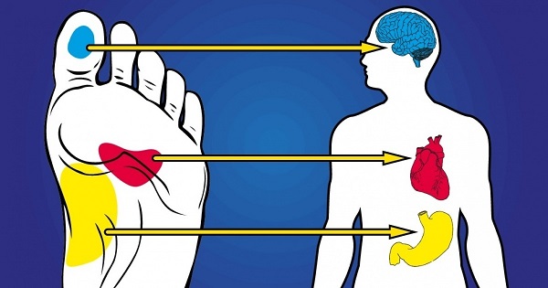 Punti di agopuntura sul piede umano. Layout della gamba sinistra e destra