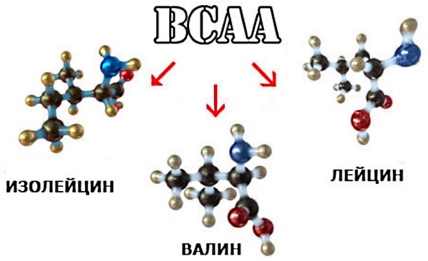 BCAA (BCAA). How to take in powder, tablets, capsules, what is it, rating of the best