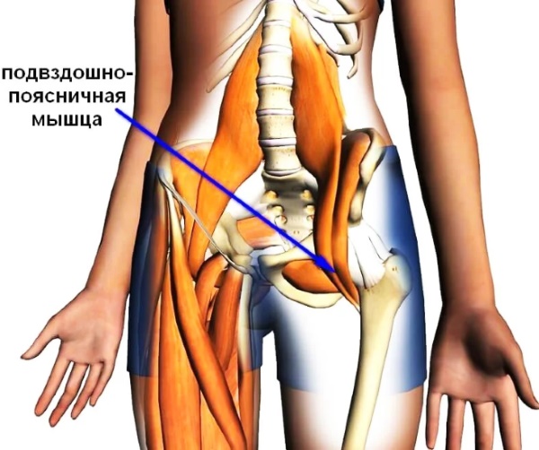 Iliopsoas muscle. Strengthening exercises, stretching, how to pump up