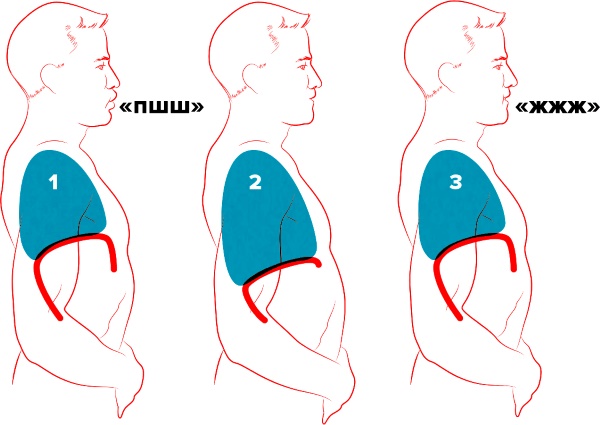 How to pump up the transverse abdominal muscle. Workout exercises