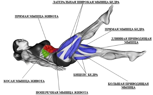 Leg scissors exercise: which muscles work, the benefits, how to do it