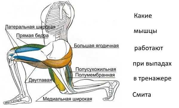 Lunges in Smith for girls. Technique of execution from the platform, stepping back, step, bench