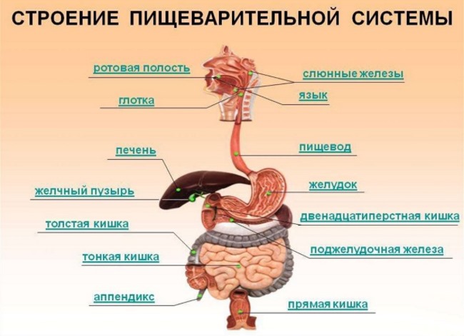 Bodyflex exercises for the face and neck from Childers, Korpan to improve blood circulation