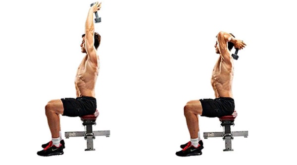 French bench press with a barbell, dumbbells, standing, sitting. Execution technique