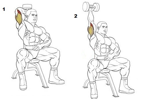 French bench press with a barbell, dumbbells, standing, sitting. Execution technique