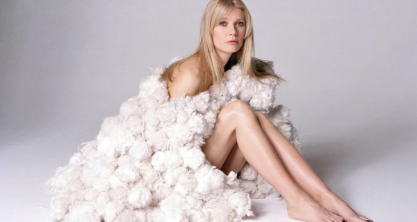 Gwyneth Paltrow. Foto hot in costume da bagno, biancheria intima, prima e dopo la chirurgia plastica, figura, biografia, vita personale