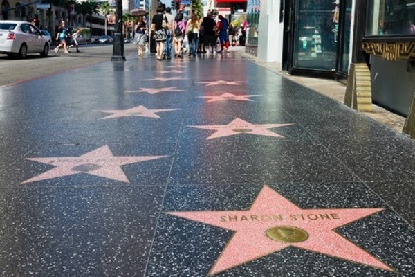 Sharon Stone. Foto calde nella sua giovinezza, ora, prima e dopo la chirurgia plastica, la biografia, la vita personale