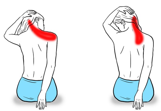 Exercises for the neck and collar zone, massage. How to do video tutorials