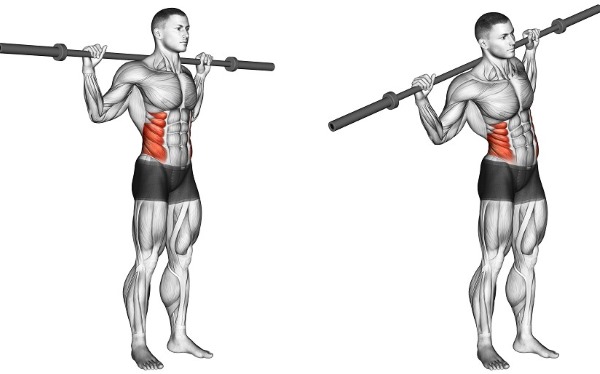 Exercises on the oblique muscles of the abdomen for women at home, in the gym