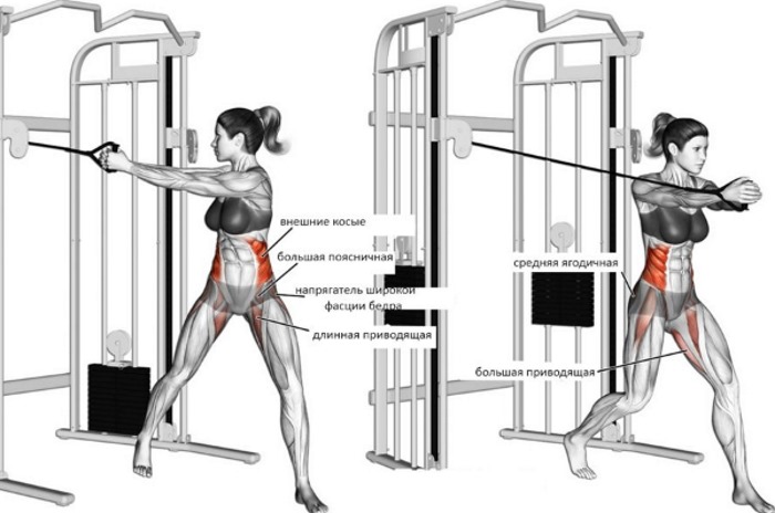 Esercizi sui muscoli obliqui dell'addome per le donne a casa, in palestra