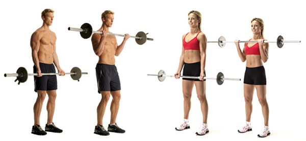 Exercises with a barbell for slimming girls for triceps, legs, back, all muscle groups at home