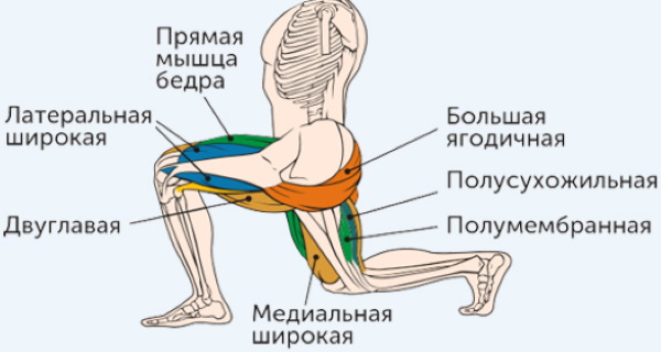 Lunges on each leg. As it is, technique with dumbbells, jumping up, weights for girls. A photo