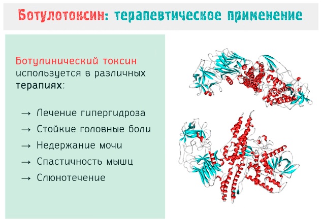 Botox analogs for the face of Russian production, France, Korea. Xeomin, Dysport, Relatox