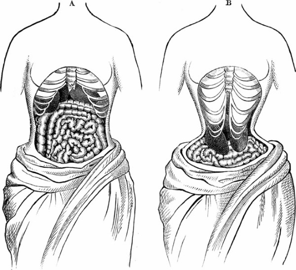 Corsetto snellente per pancia e fianchi per donna. Prezzo, recensioni