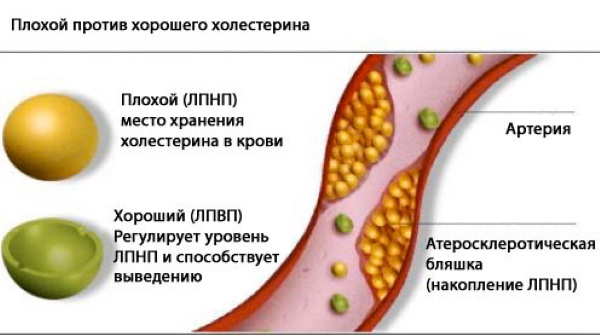 Nicotine (nicotinic acid) in injections. Instructions, indications for use, course of treatment