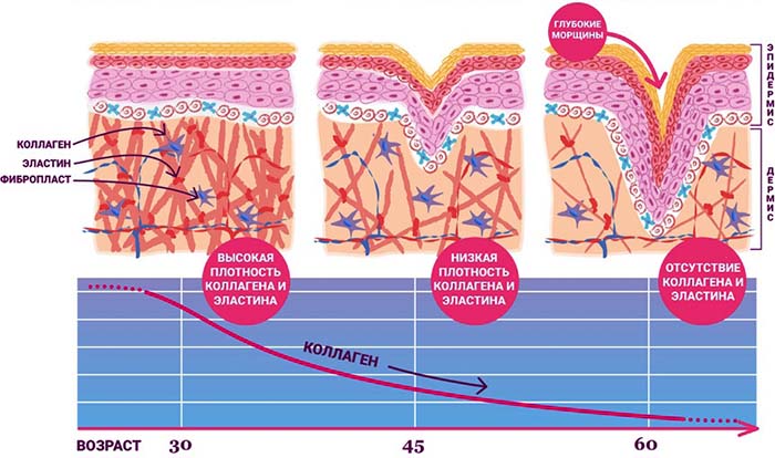 Collagen tablets for face skin in pharmacy. Reviews