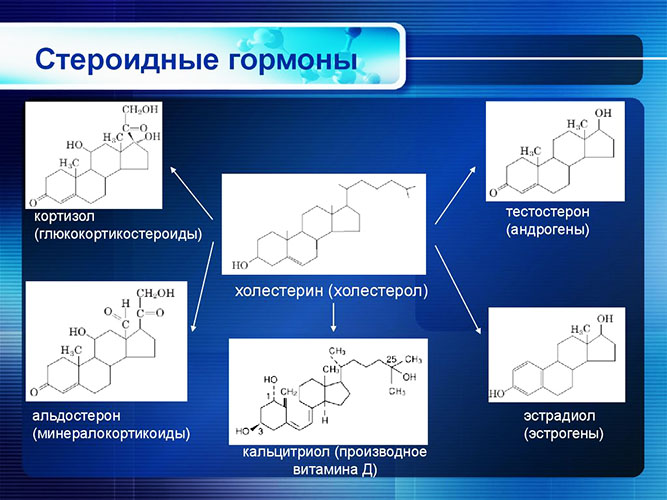 Methane (methandienone) muscle pills. Instructions for use, price