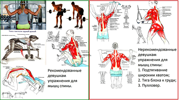 Strength exercises on the back at home, in a rocking chair for women