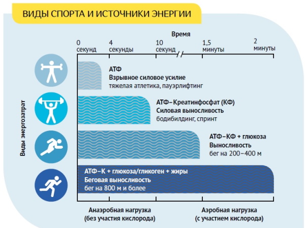 Anaerobic and aerobic exercise. What is it, differences