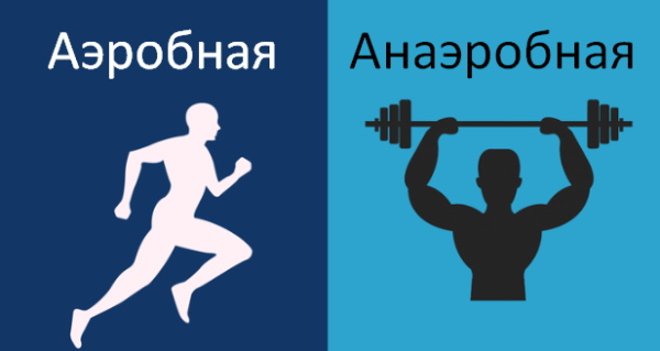 Anaerobic and aerobic exercise. What is it, differences