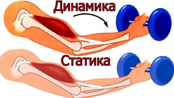 Armwrestling for beginners. Exercises at home, in the gym