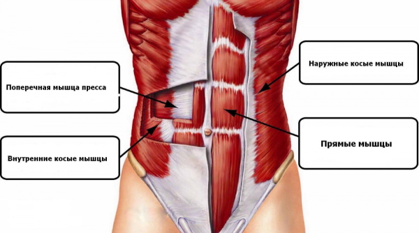 How to make a girl's abs with cubes. Before and after photos, exercises