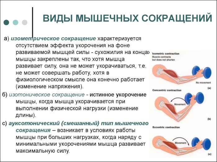 Strength in physical education. What is it, types, absolute, relative, development